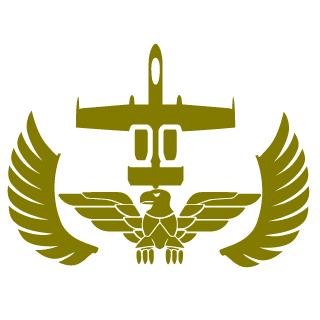 Player_qtqaqrv6's emblem