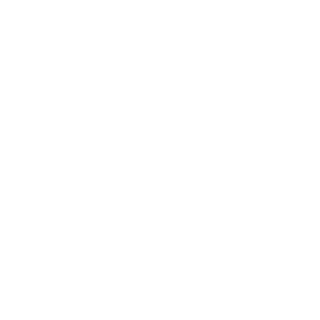 Vanech_360's emblem