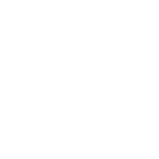 200PONNIES's emblem