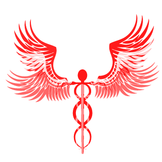 5cc383220f33e6fd's emblem