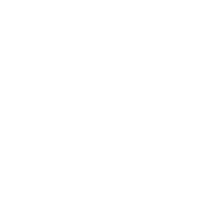NecroMorphor's emblem
