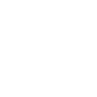 R3M3D1UM's emblem