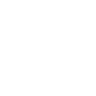 1ANIL1's emblem