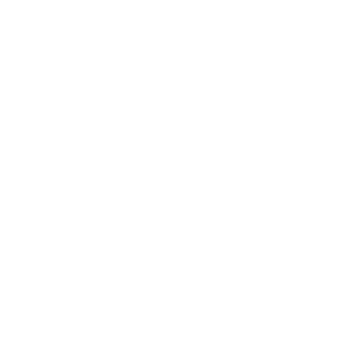 Theridian's emblem