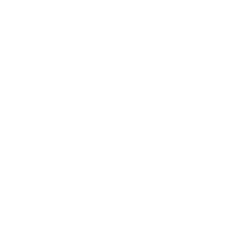 MrTrudel's emblem