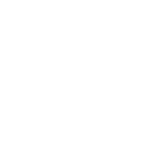wendelpereira007's emblem