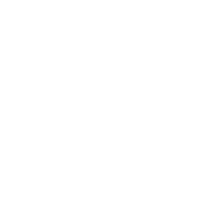 Lejtar's emblem