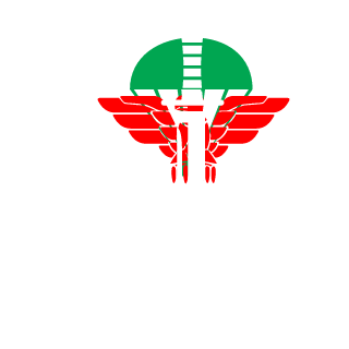 SalientLuca's emblem