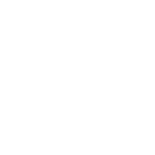 SAcomSA's emblem