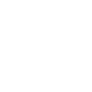 zNIKTO's emblem