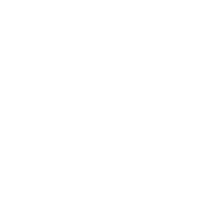 cesna's emblem