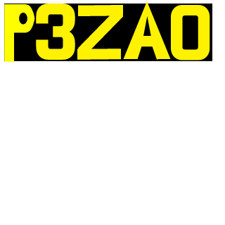 P3ZAO_48's emblem