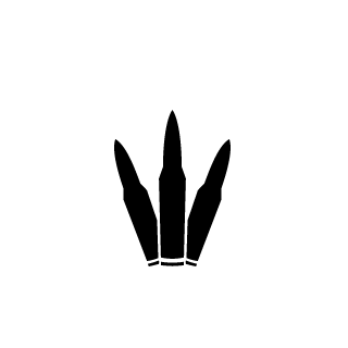 airfryer69's emblem