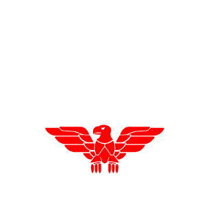 FR_SF_NAVY_VET's emblem