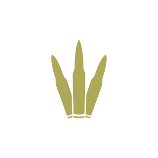 ReeHhh's emblem