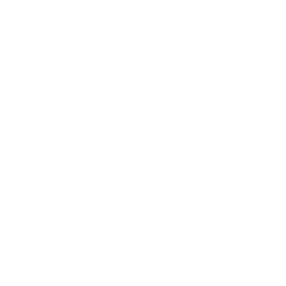 vicoramos19's emblem