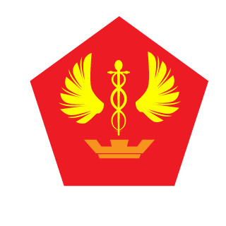 Ervin_2011's emblem