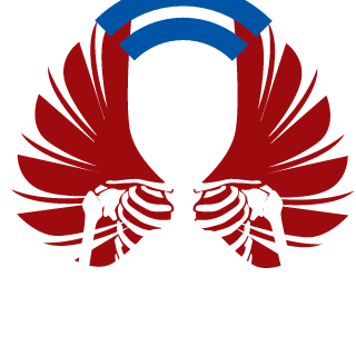 Aero Precision's emblem