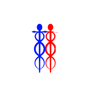 SAT_Vikings's emblem