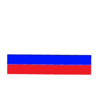 PRO100WINHIK's emblem