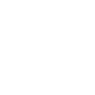 LucasQiZheng's emblem