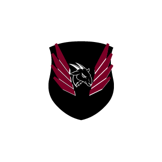 CAJUEIROO's emblem