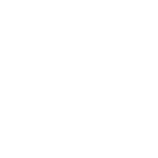 Charlinho_Aluno's emblem