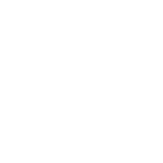 Pro Racer's emblem