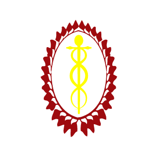 Pirata_caolho's emblem