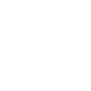 BL4DEYE's emblem