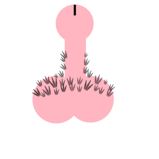 Mtentu4's emblem
