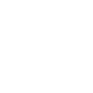 ChanceBriggs's emblem
