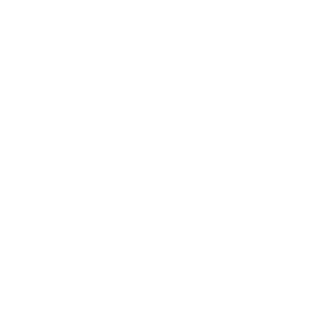 IIAvoxII's emblem