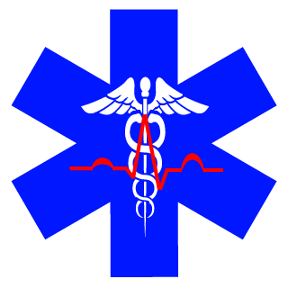 Mjoelnir_Husky's emblem