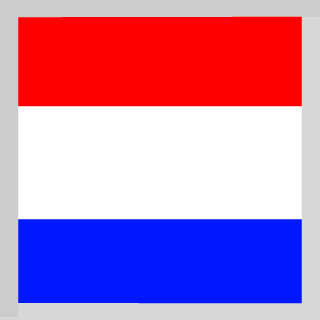 PepijndeG1996's emblem
