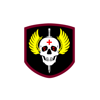 Slashii12's emblem