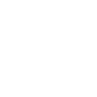 RoolzFake's emblem