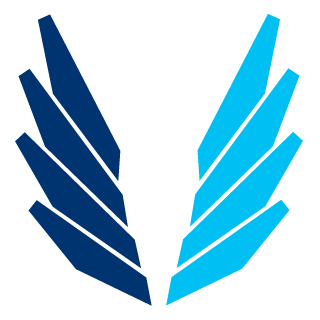 raizorcube's emblem