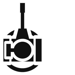 Vigovskyy's emblem
