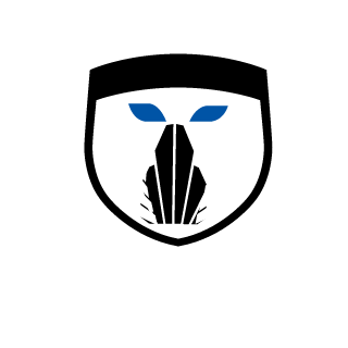 DEMONDOGS46's emblem