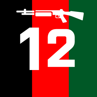 Mynameborat12's emblem
