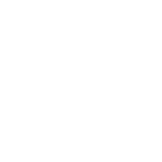 Sweg_B17's emblem