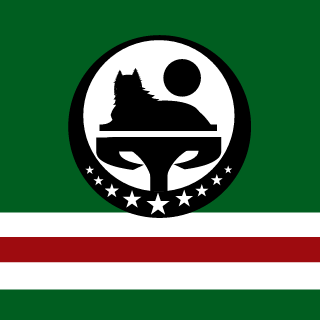 BlackRegion95's emblem