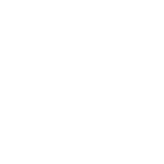 XANDLO's emblem