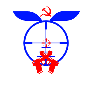 dron_novorrr's emblem