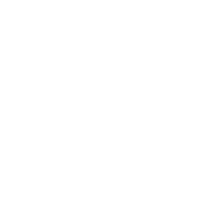Lig1oner's emblem