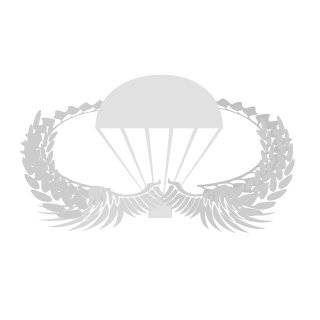 78Airborne78's emblem