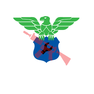 Skoll9O's emblem