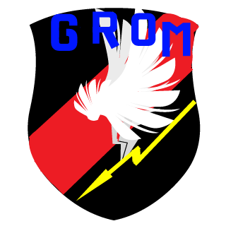 LYSY_82's emblem