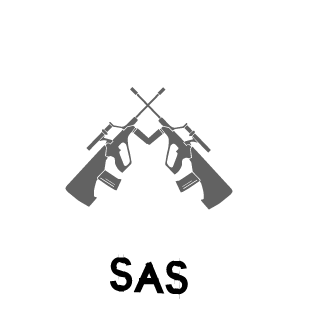 DylanD1NZ's emblem